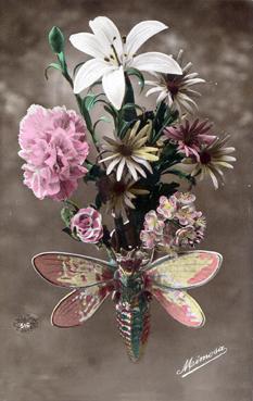 Iconographie - Papillon sur un bouquet de fleurs