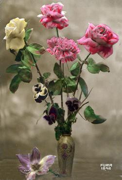 Iconographie - Fleurs dans un vase