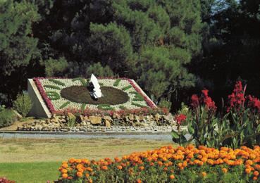 Iconographie - L'horloge fleurie dans le jardin public