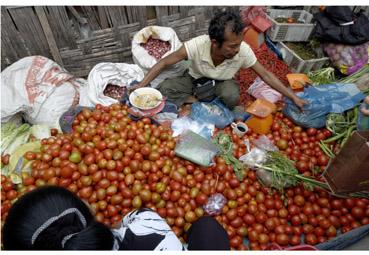 Iconographie - Soupe, tomates, café