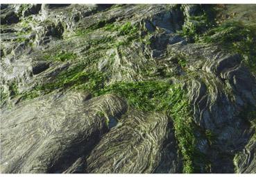 Iconographie - Vagues de roche