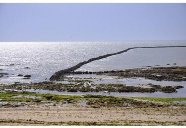 Iconographie - Pêcherie marine