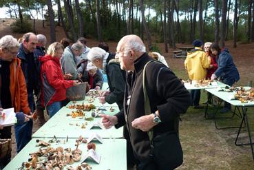 Iconographie - Sortie de la Société Mycologique de la Roche-sur-Yon