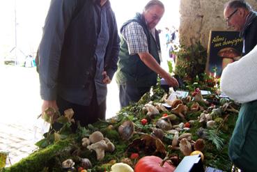 Iconographie - Exposition de champignons à Chaligny