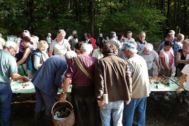 Iconographie - Sortie de la Société Mycologique de la Roche-sur-Yon