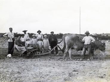 Iconographie - La famille d'Eugène Charrier lors de la plantation