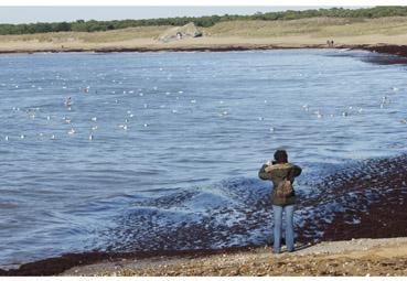 Iconographie - Photo de plage