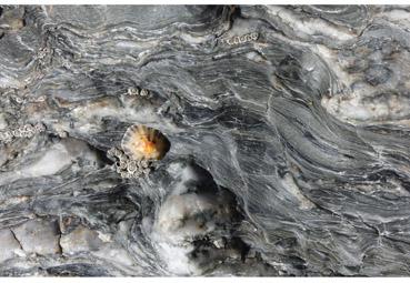 Iconographie - Seule sur son rocher