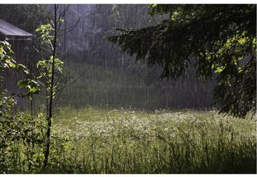 Iconographie - Pluie d'orage