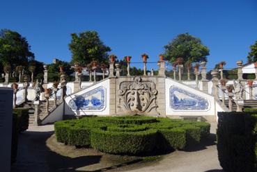 Iconographie - Castelo Branco - Buisson du jardin do Paço Episcopal