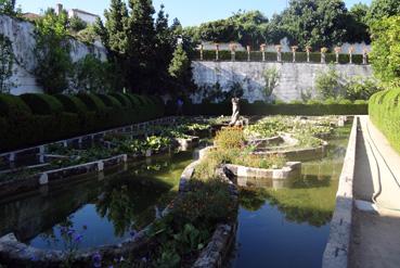 Iconographie - Castelo Branco - Bassin du jardin do Paço Episcopal