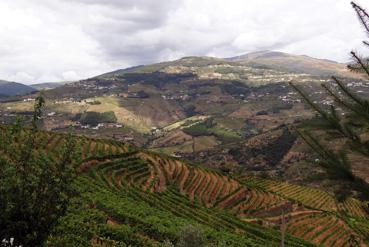 Iconographie - Oliveira do Douro - Vallée du Douro