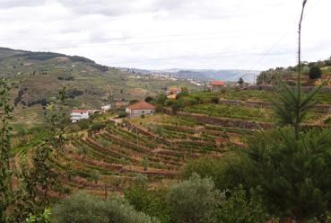 Iconographie - Oliveira do Douro - Vallée du Douro