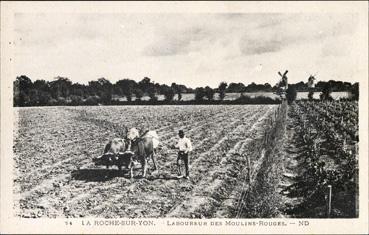 Iconographie - Laboureur des Moulins Rouges