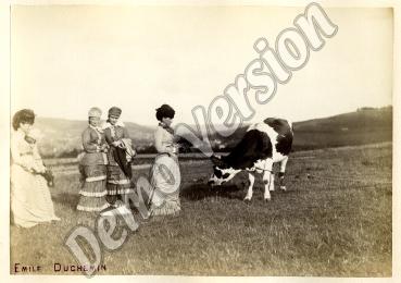 Iconographie - Quatre femmes et une vache