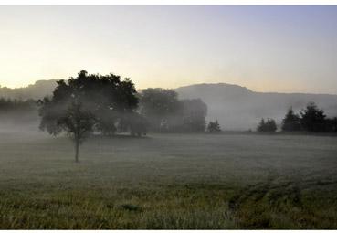 Iconographie - Un beau matin