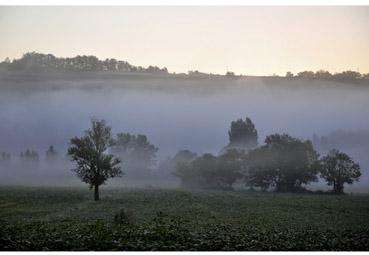 Iconographie - Un beau matin IV