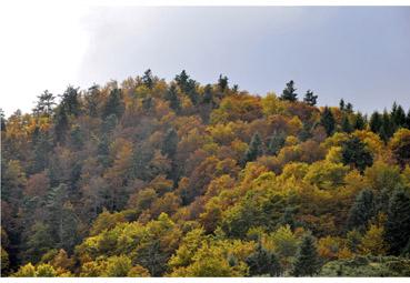 Iconographie - Automne en montagne