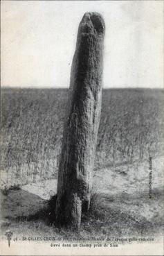 Iconographie - Menhir de l'époque gallo-romaine élevé dans un champ près de Sion