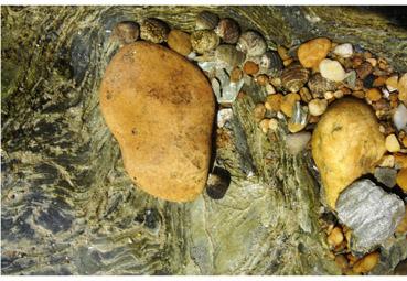 Iconographie - Le pied de Neptune