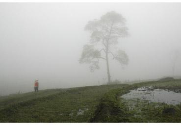 Iconographie - Perdu dans le brouillard