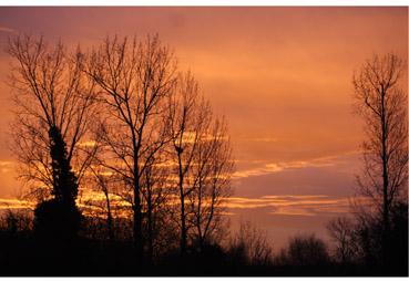 Iconographie - Ciel de feu