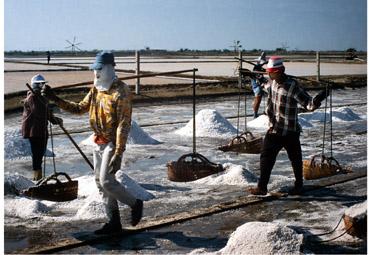 Iconographie - Les travailleurs du sel