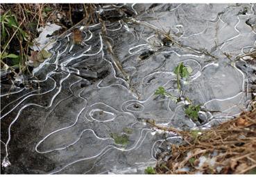 Iconographie - Courbes dans la glace 1