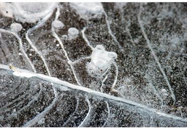 Iconographie - Spectre de glace