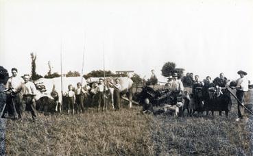 Iconographie - La famille Héraud aux moissons