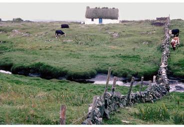 Iconographie - la petite maison dans la prairie