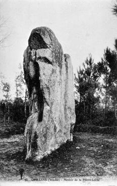 iconographie - Menhir de la Pierre Levée