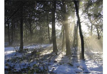 Iconographie - Neige inattendue II