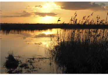 Iconographie - Coucher de soleil sur le marais