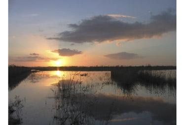 Iconographie - Coucher de soleil sur le marais II