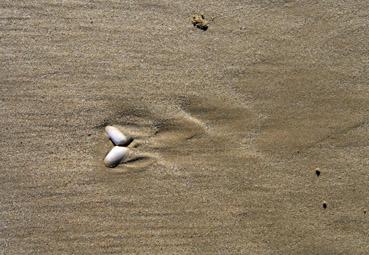 Iconographie - Des ailes dans le sable