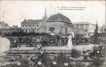 Iconographie - Le Jardin des Plantes - Le jardin botanique et les serres