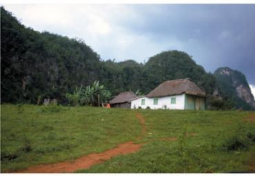 Iconographie - Campagne cubaine II