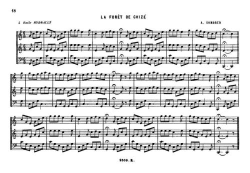 Partition - Forêt de Chizé