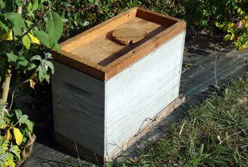 Iconographie - Collecte d'un essaim d'abeilles rue de La Foudrière