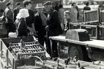 Iconographie - Vente de canards à la foire aux volailles