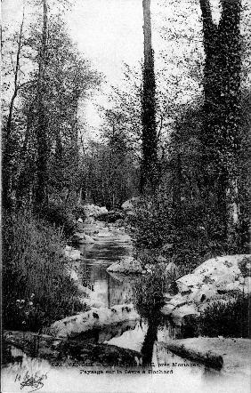 Iconographie - Paysage sur la Sèvre à Rochard