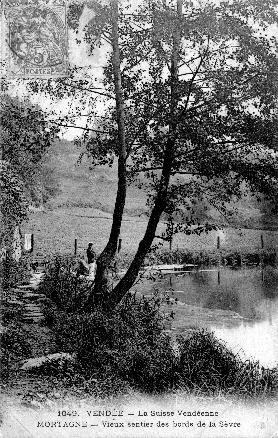 Iconographie - Vieux sentier des bords de la Sèvre