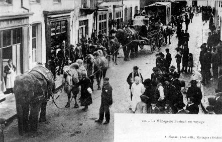 Iconographie - La ménagerie Bostock en voyage