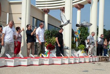 Iconographie - Lâcher de pigeons devant l'espace Herbauges