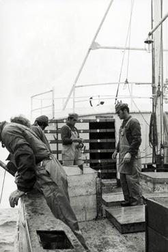 Iconographie - Marins pêcheurs à bord d'un thonier