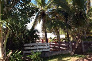 Iconographie - Une villa avec des cocotiers