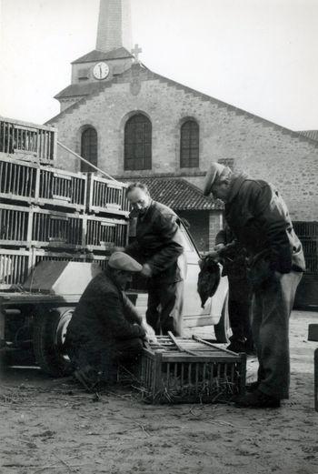 Iconographie - Marché aux volailles place Ernest Guérin