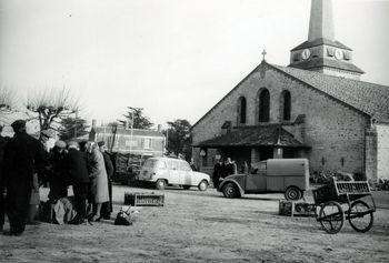 Iconographie - Marché aux volailles place Ernest Guérin