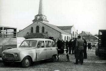 Iconographie - Marché aux volailles place Ernest Guérin